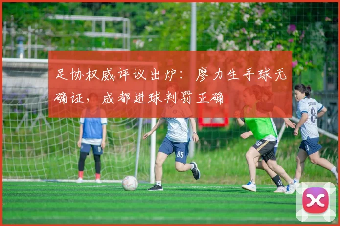足协权威评议出炉：廖力生手球无确证，成都进球判罚正确